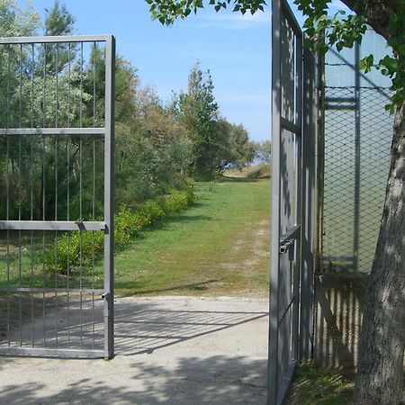 Camping & Residence Il Pioppeto Vasto Bagian luar foto