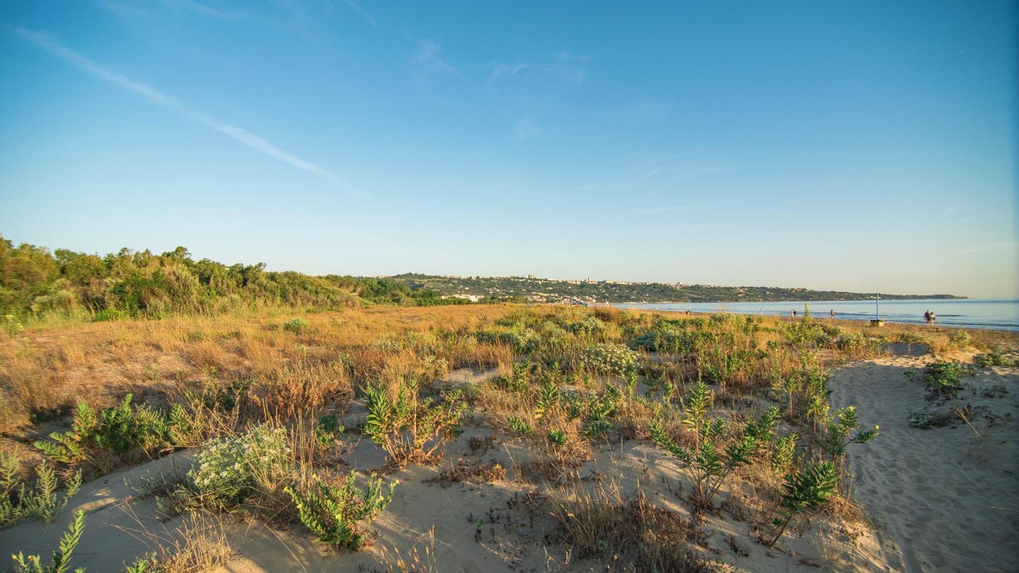 Camping & Residence Il Pioppeto Vasto Bagian luar foto